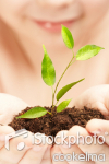 The boy observes cultivation of a young plant.